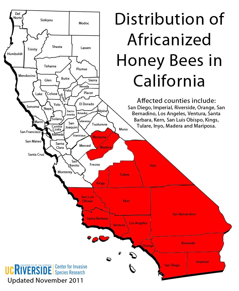 africanized honey bee distribution california