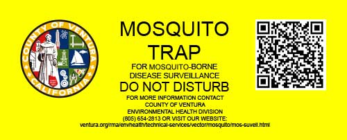 mosquito sticker
